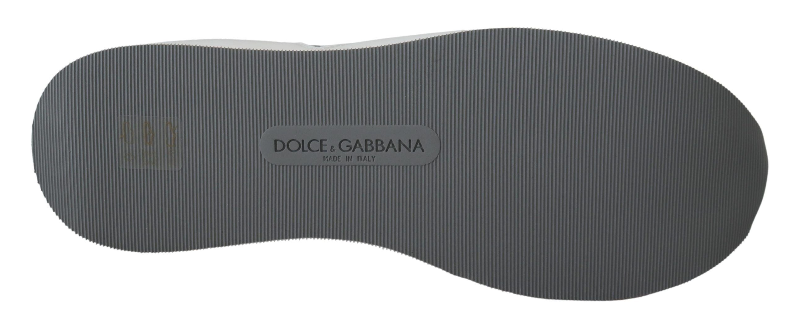 Dolce &amp; Gabbana Multicolor Leather Sport Low Top Sneakers